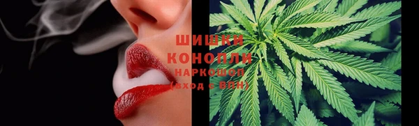 каннабис Корсаков