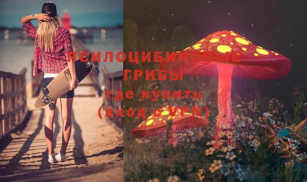mdma Коряжма
